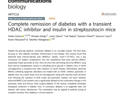 「糖尿病が完治する」という研究の論文が、科学雑誌「Communications Biology」に掲載されました